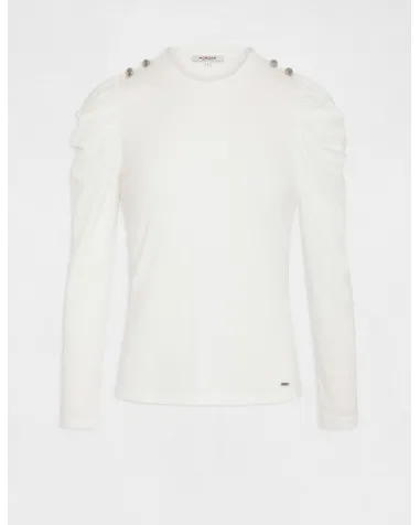 Jersey Morgan | Jaymehsop