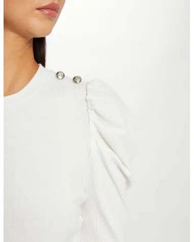 Jersey Morgan | Jaymehsop