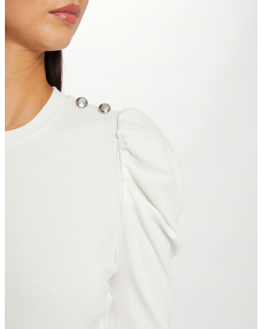 Jersey Morgan | Jaymehsop