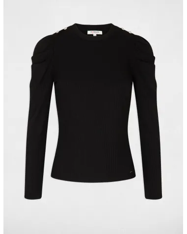 Jersey Morgan | Jaymehsop